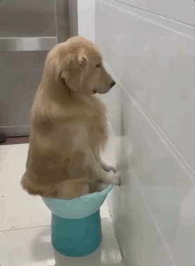 有一个小时别想下来还不给我面壁思过去家里这么多双拖鞋都被你给啃了