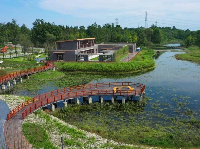 康家浩湿地公园正是一派生机勃勃是踏青好去处也是小朋友的游玩天堂
