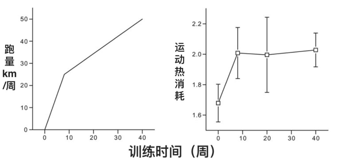 火遍全網的減肥操能讓我減肥成功嗎