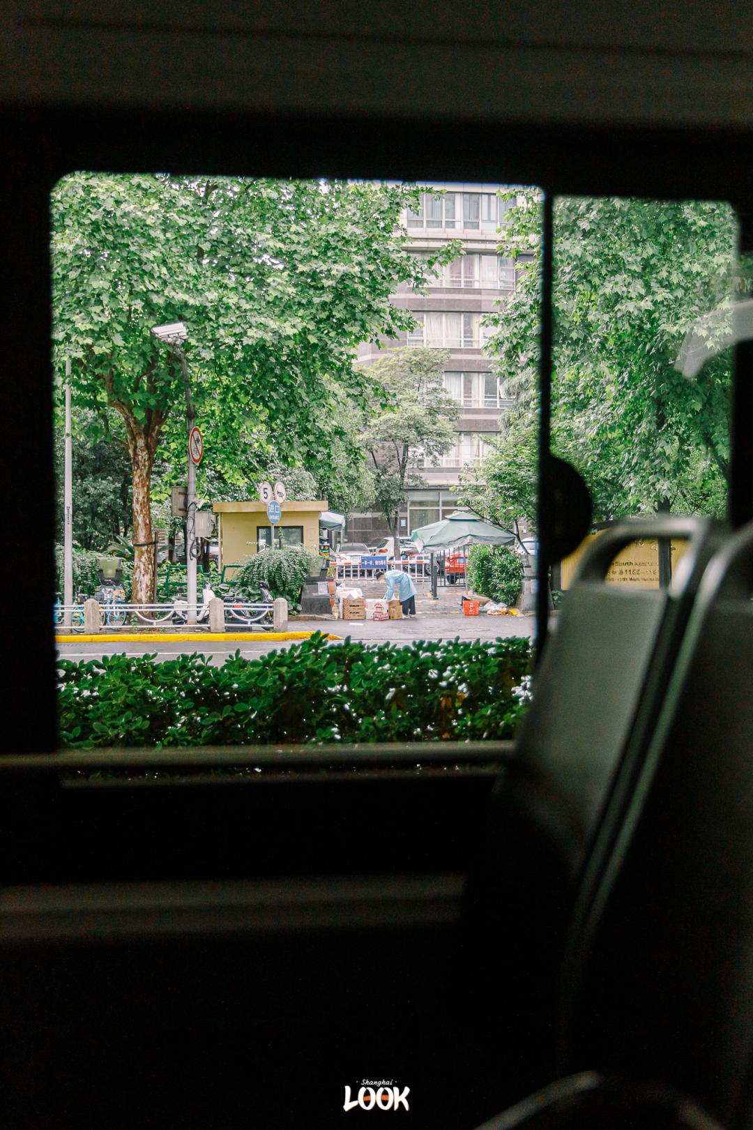 窗外一路都是安静的街景,绿意已经铺满街头每个角落,夏天的气息也越来