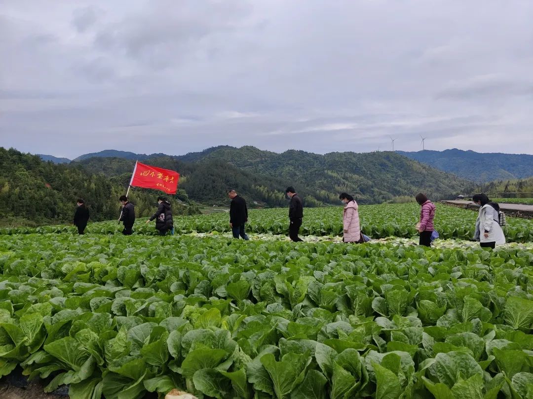 青年干部四下基层实践锻炼田间地头忙农耕乡村振兴谋良策