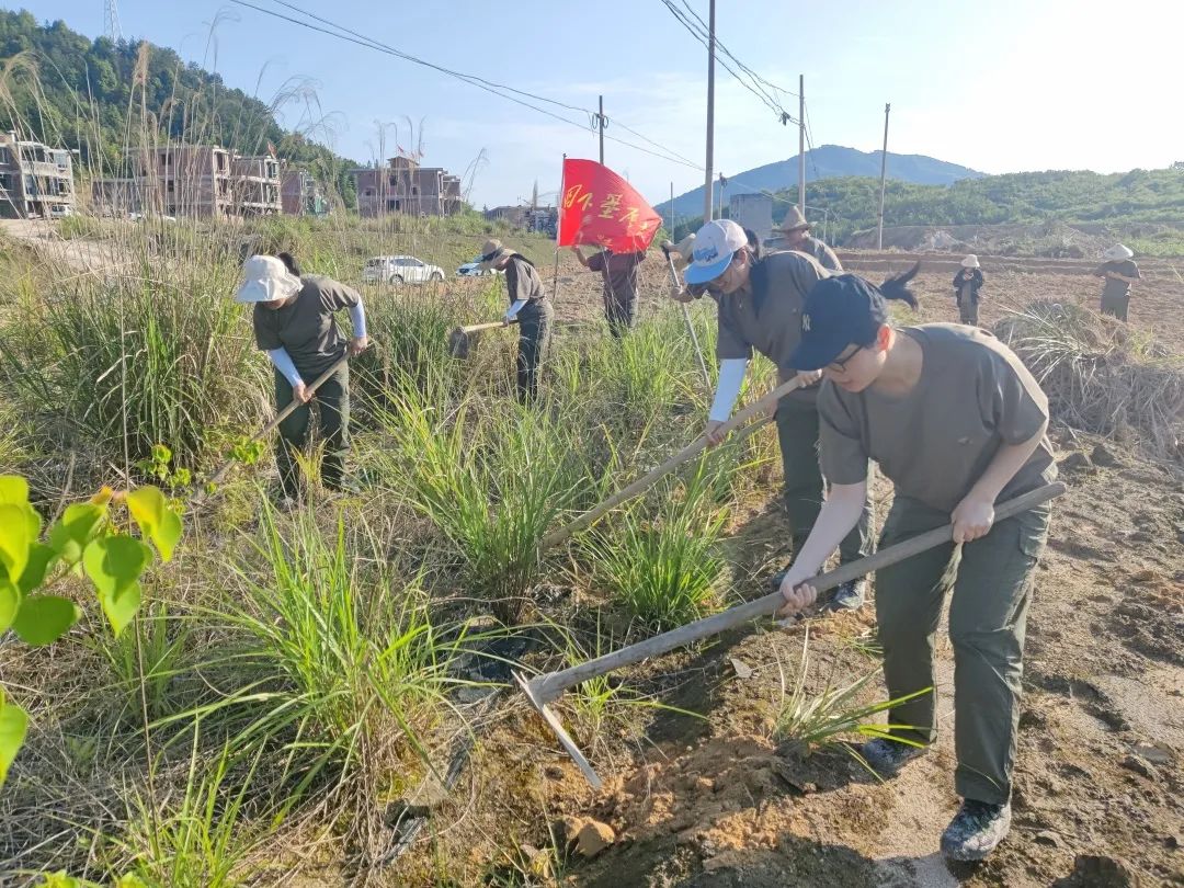 青年干部四下基层实践锻炼田间地头忙农耕乡村振兴谋良策