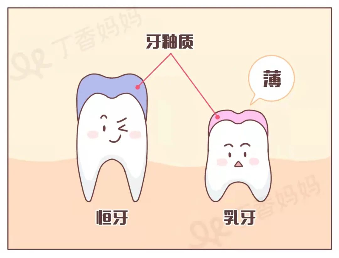 还处于乳牙阶段的小朋友,他们牙齿的牙釉质,牙本质比成人恒牙更薄