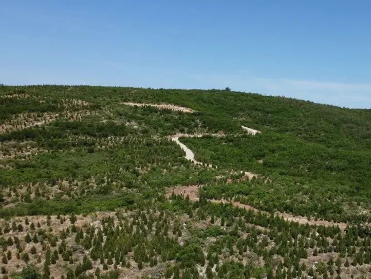 依景 依文化大峪镇作为峰峰矿区的南大门纵情大峪,踔厉奋发