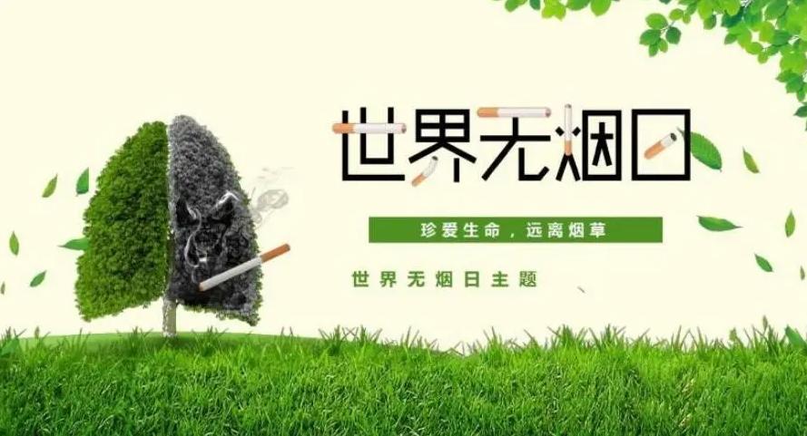 世界无烟日禁烟科普