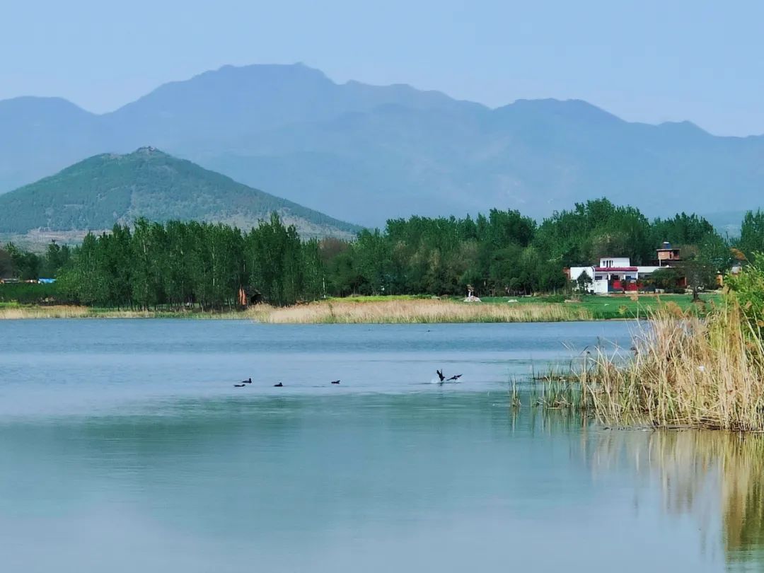 【行走镇平•读懂中国】青山不墨千秋画,绿水无弦万古琴_澎湃号·政