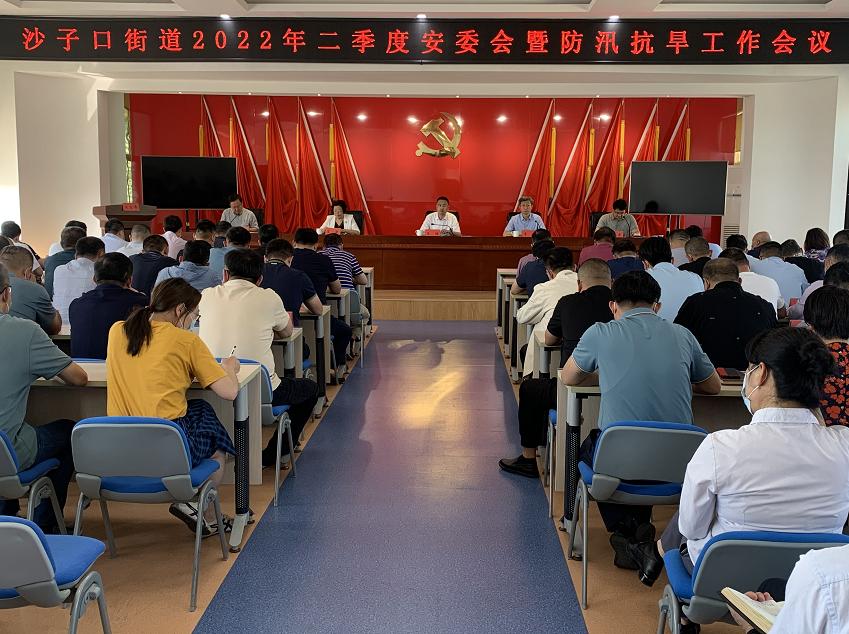 沙子口街道召开2022年第二季度安委会暨防汛抗旱工作会议