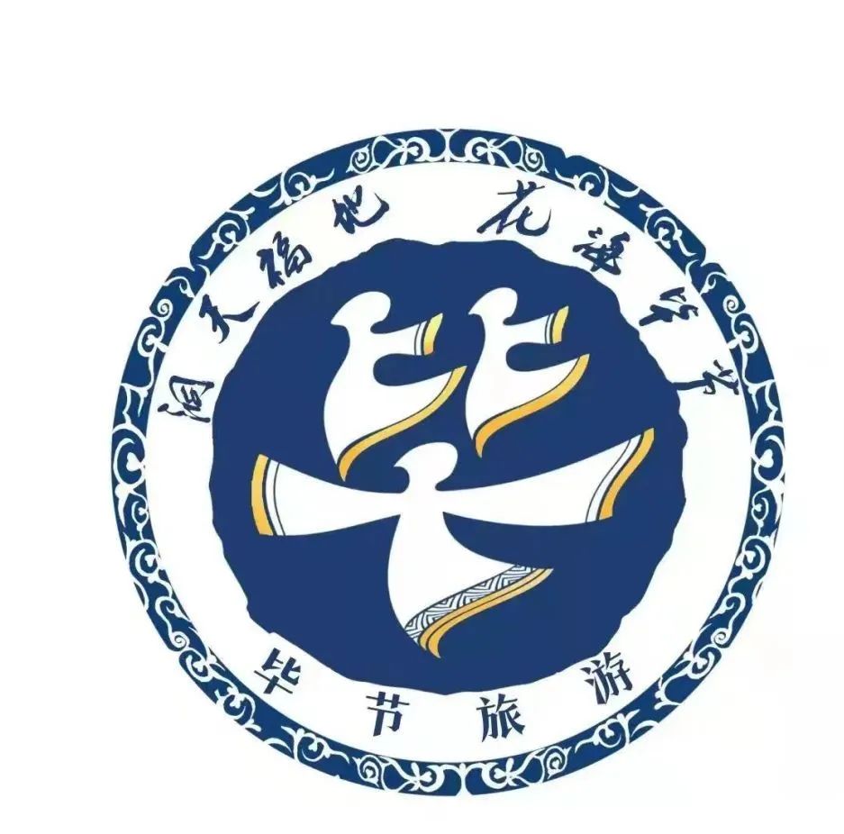 毕节医专的logo图片