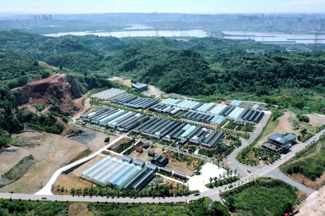 昔日采石场长出花木城