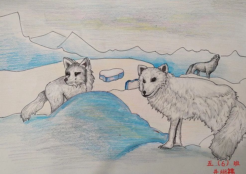 六一儿童节丨童心齐绘生物多样性日主题绘画优秀作品展播来喽