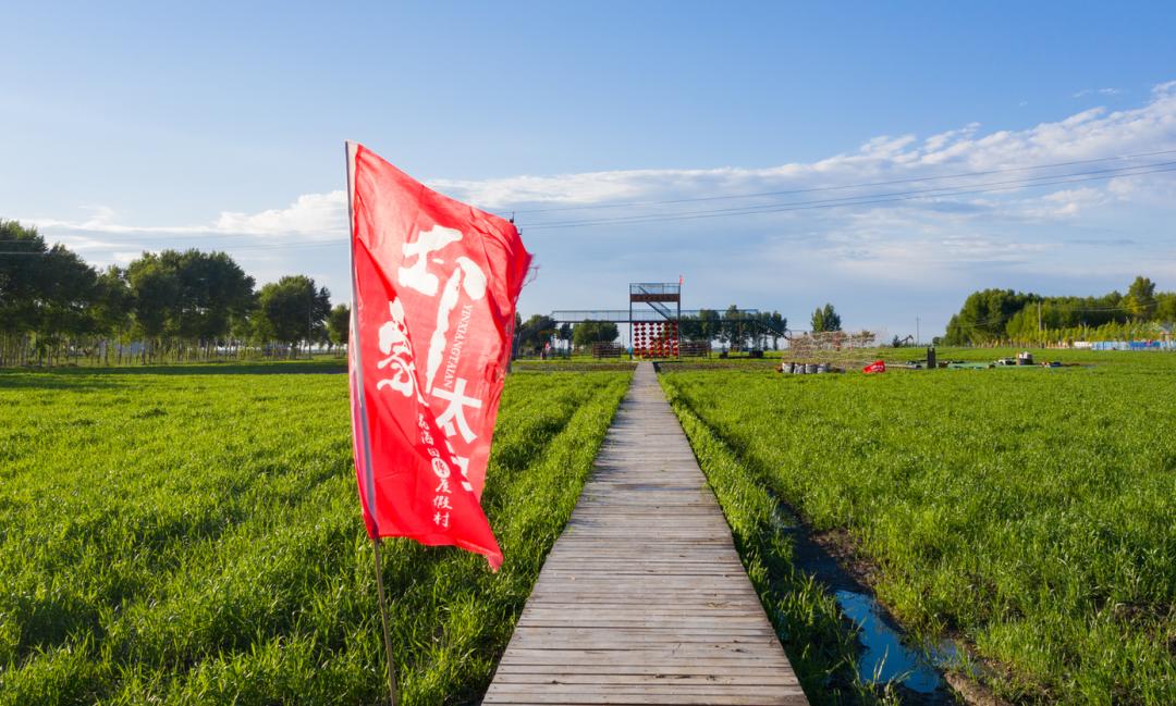 大同镇芍药花海推迟官方最新消息6月10日左右才会陆续开放