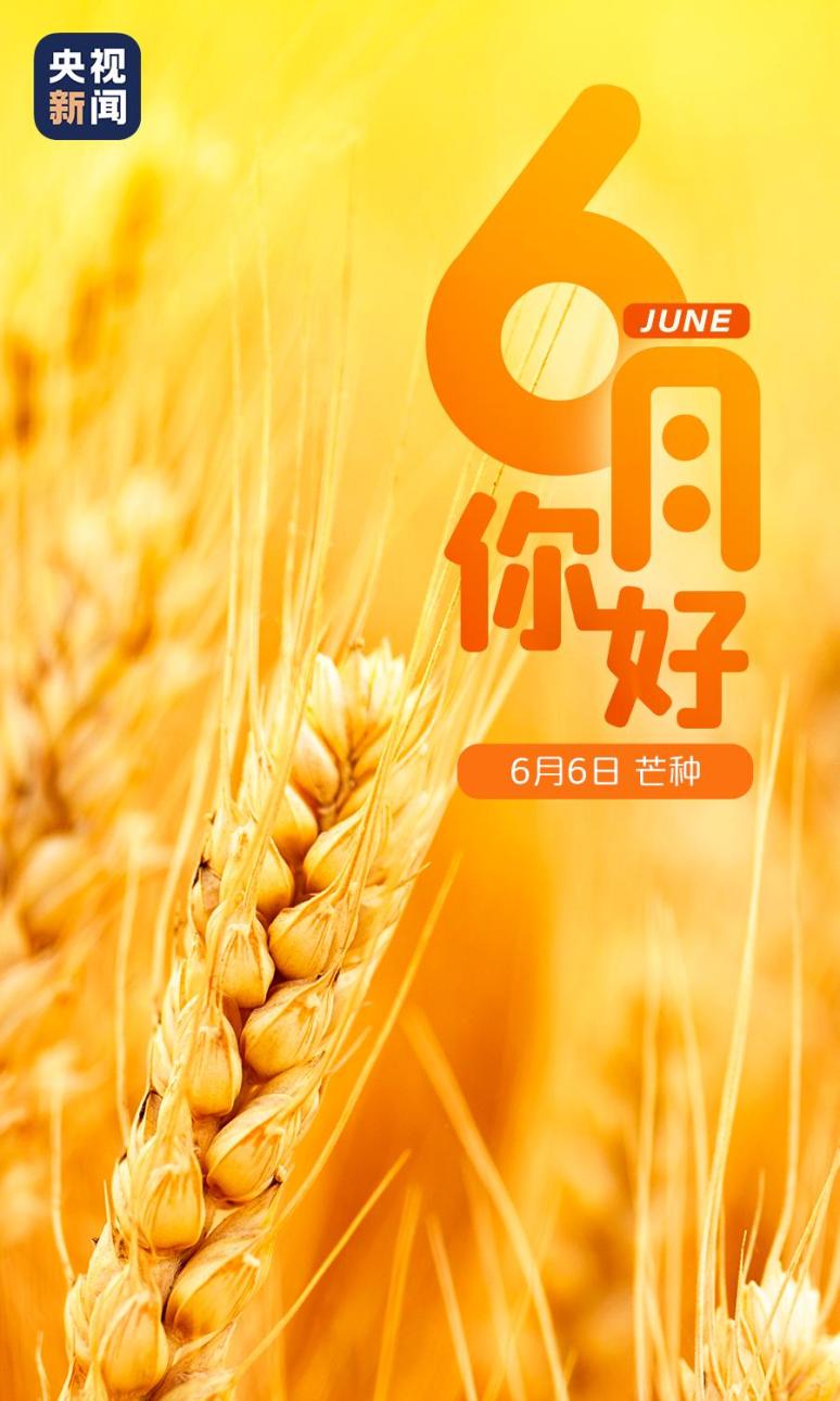 6月你好