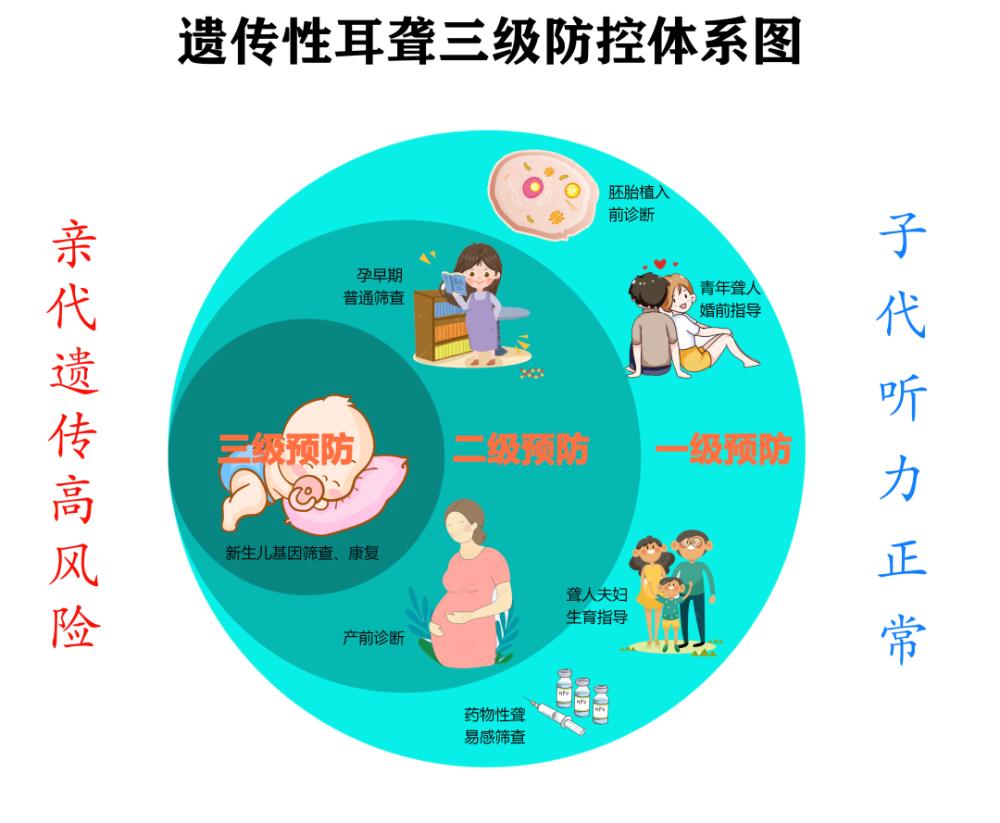 除新生儿耳聋基因筛查外,建议婚前,孕前或孕早期进行耳聋基因筛查.