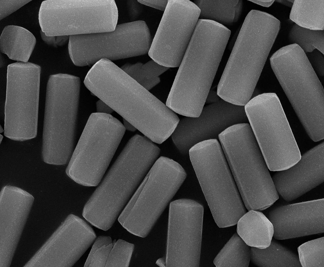 的硫化钴粒子均匀地附着在碳亚微球表面,呈现出层次分明的球状结构