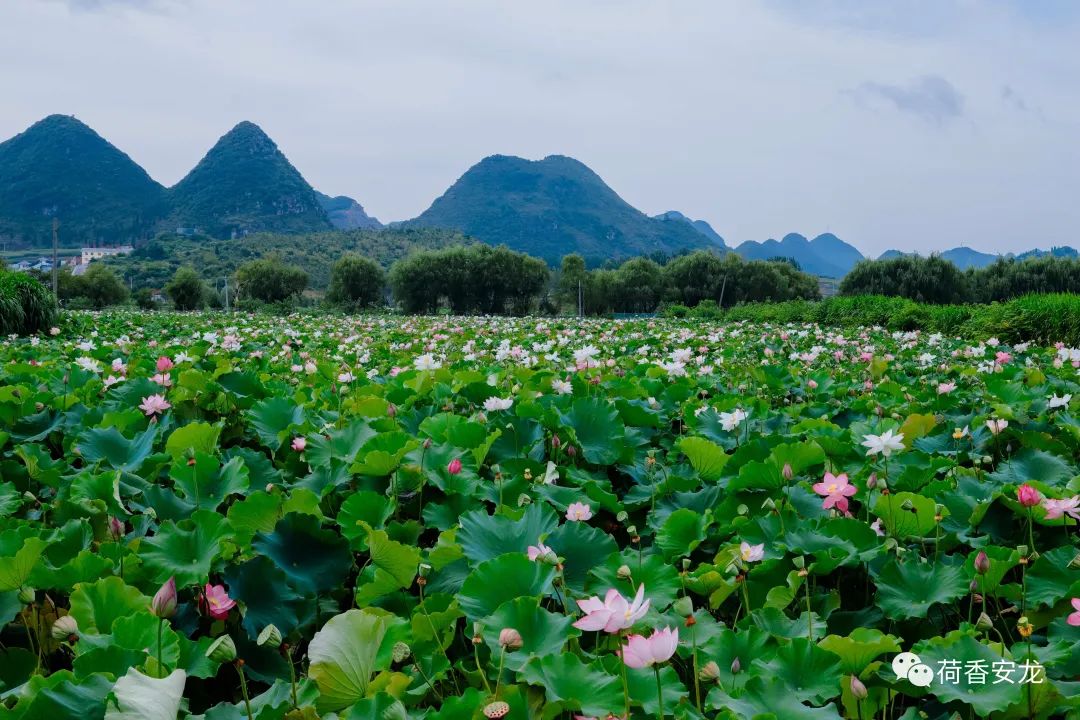 安龙旅游景点有哪些图片