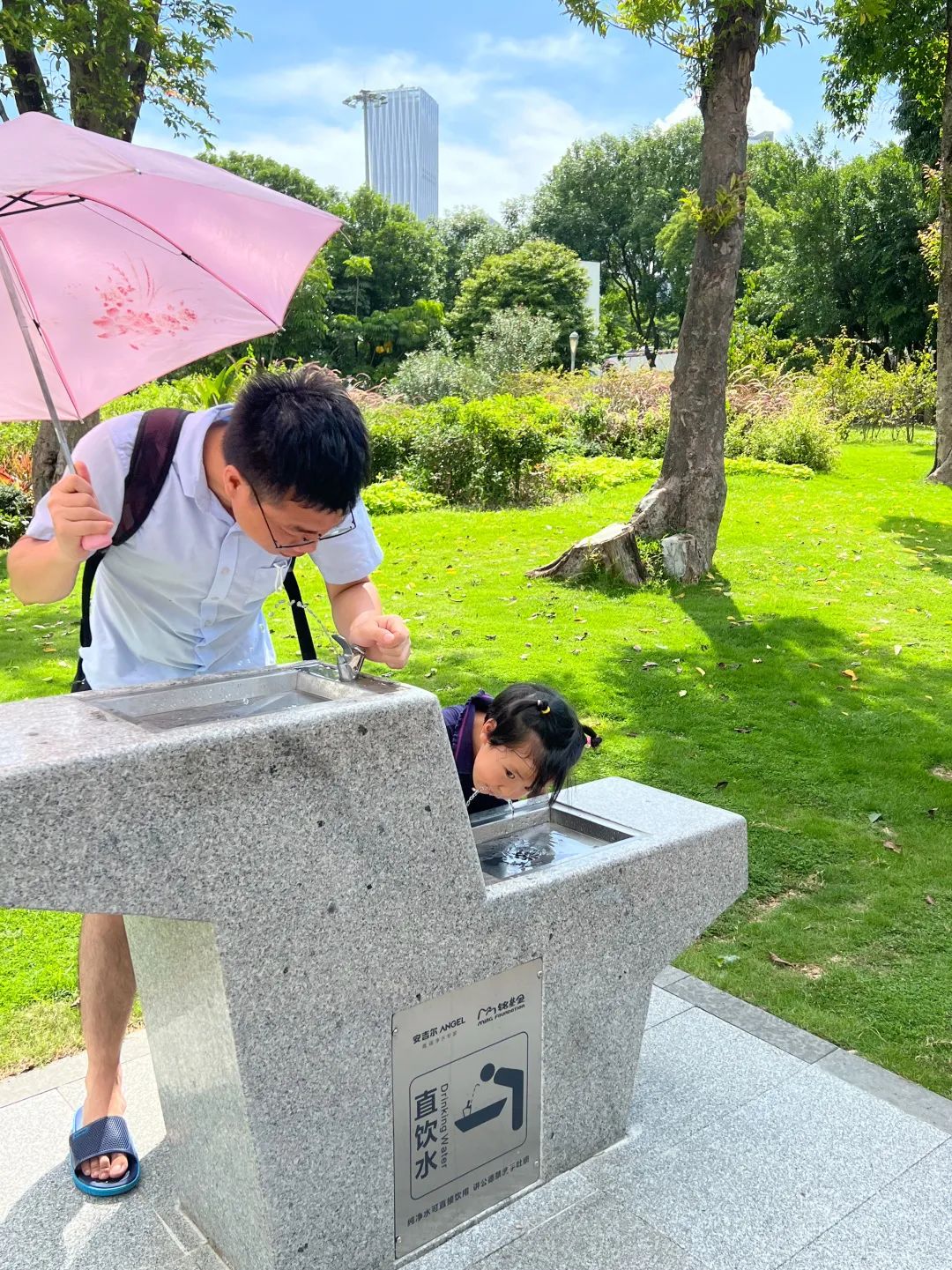 新增10处直饮水点红树林中湾观鸟区海韵公园白鹭坡北湾鹭港大沙河口弯