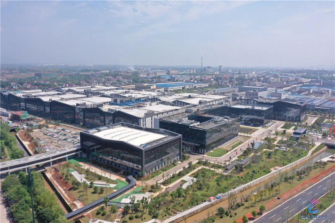 引进来落下去动起来!“招大引强”金华持续加大力度!