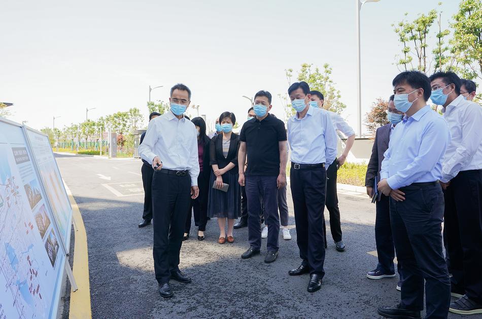 沈觅调研金光科技产业园并召开现场推进会