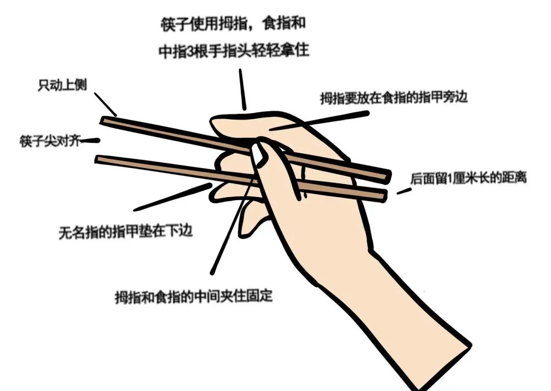 筷子的正确拿法步骤图图片
