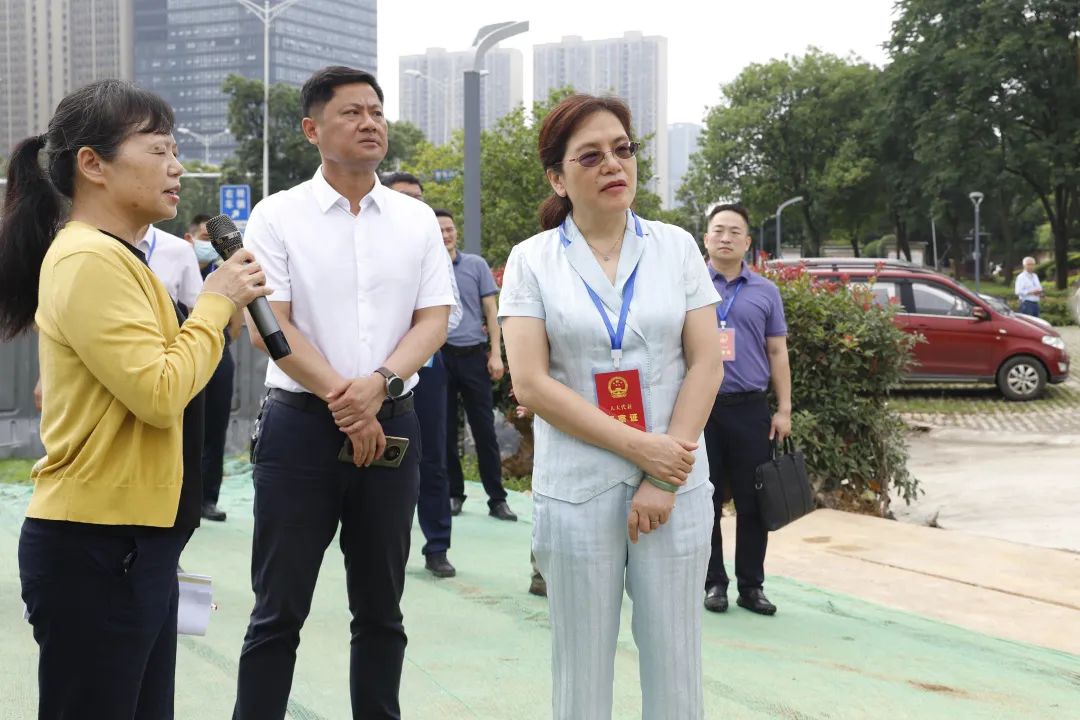 区人大常委会视察全区防汛备汛工作