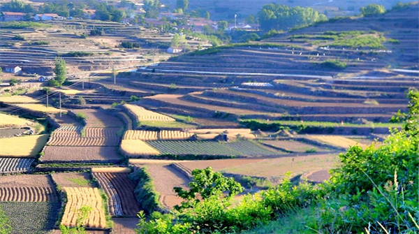 經山歷海看日照夏日梯田美