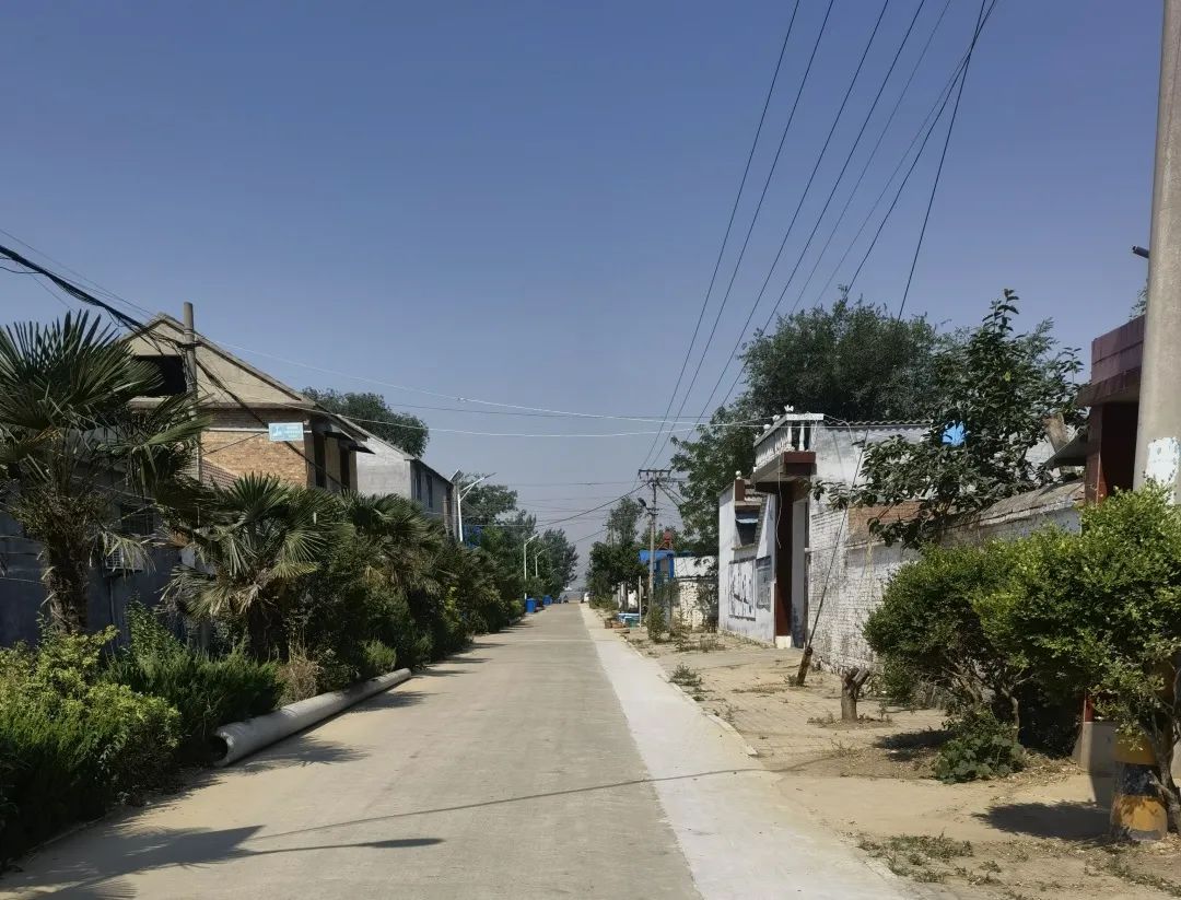 人居环境找差距抓整改促提升兴隆镇开展人居环境整治观摩活动