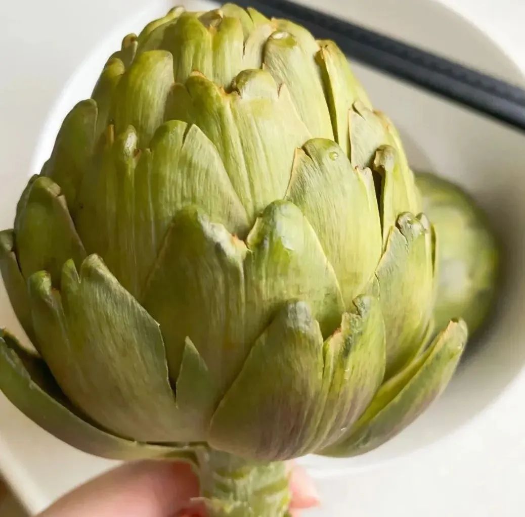 我们品鉴了蔬菜中的宝莲灯洋蓟