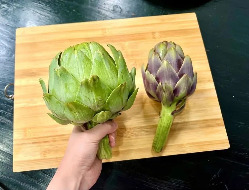 我们品鉴了蔬菜中的宝莲灯洋蓟