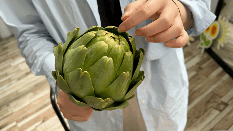 我们品鉴了蔬菜中的宝莲灯洋蓟