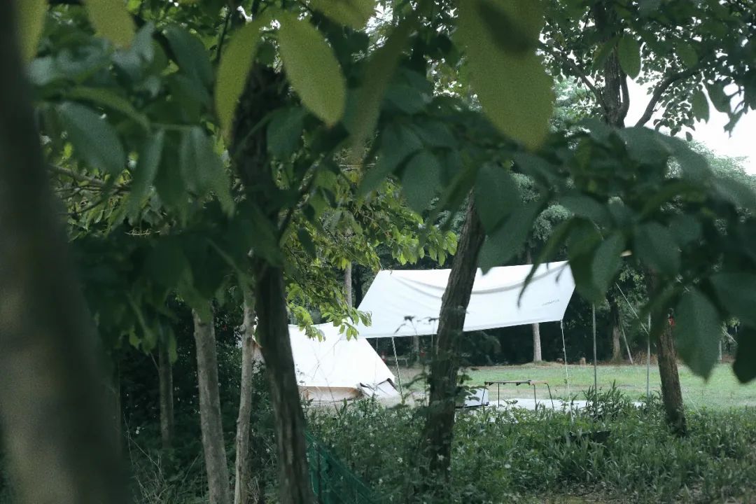 位於三水樂平小農街研學基地內,周圍有民宿,餐廳,樂湖水上森林公園