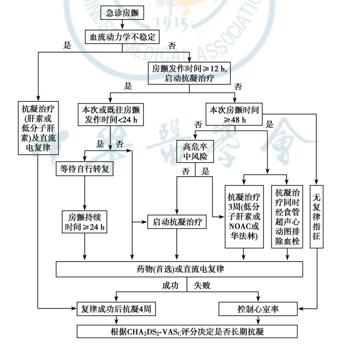 董建增教授房顫急性發作處理