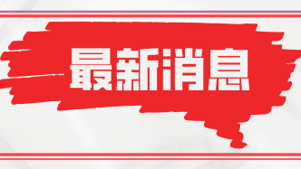 【市民云资讯】6月6日起临港中运量1号线及4条临港定制班线恢复运营