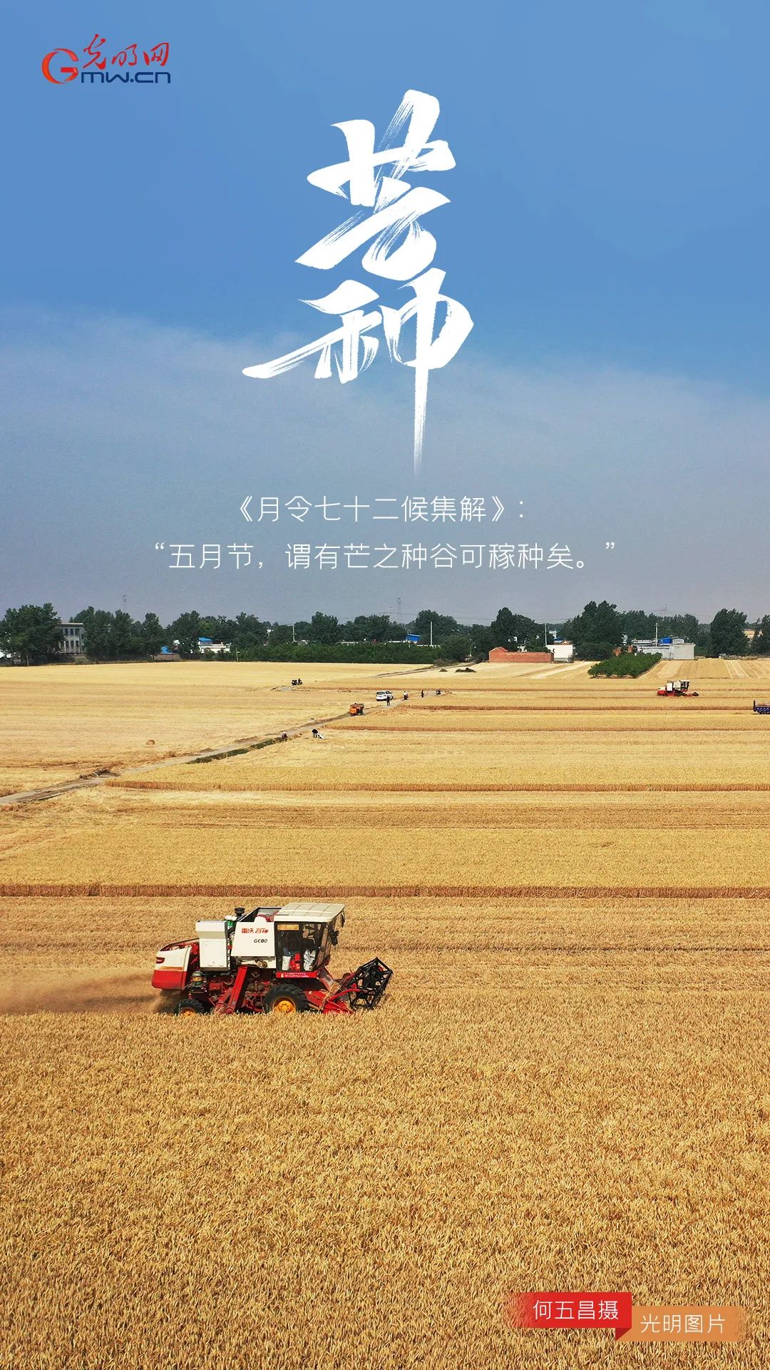 今日芒种愿你的每一分耕耘都有收获一切努力都不被辜负