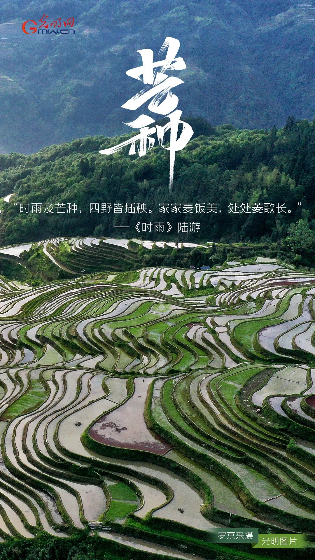 今日芒种愿你的每一分耕耘都有收获一切努力都不被辜负