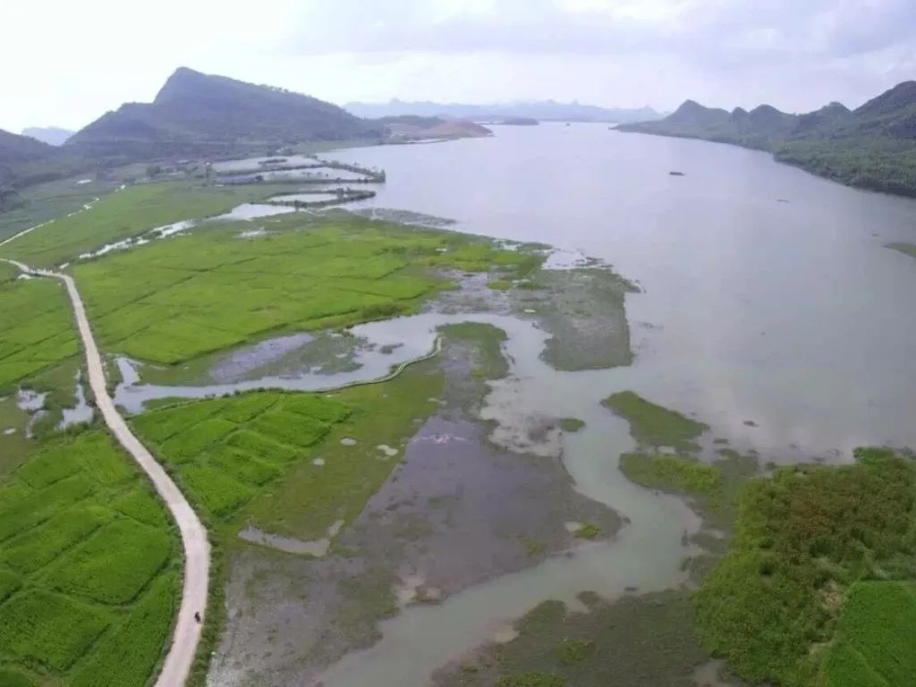 世界环境日来宾这个湿地公园给你好看