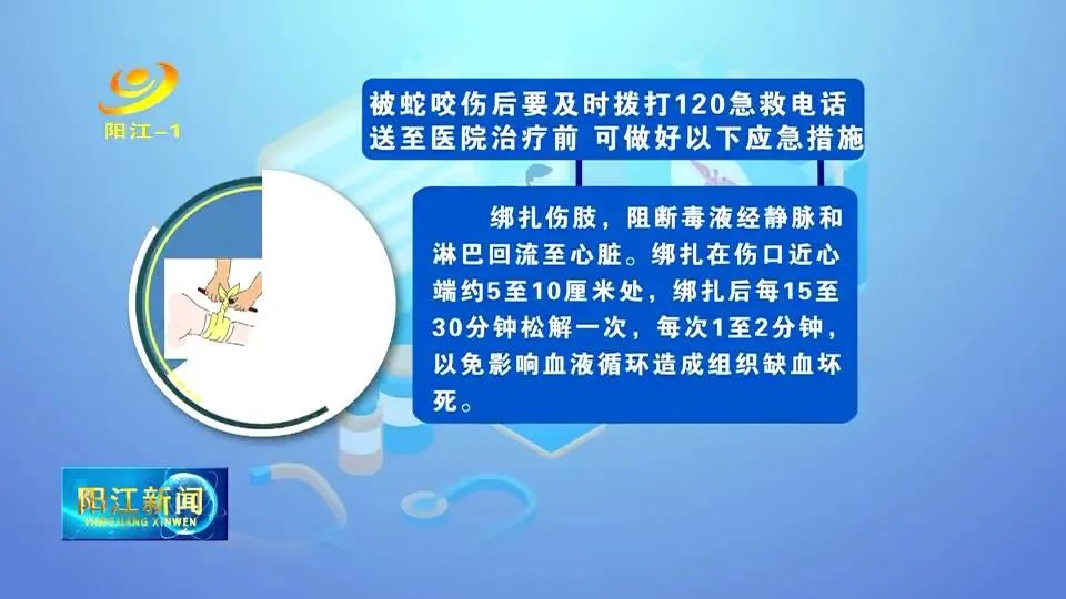 醫生提醒夏季蛇傷頻發應急處理勿大意