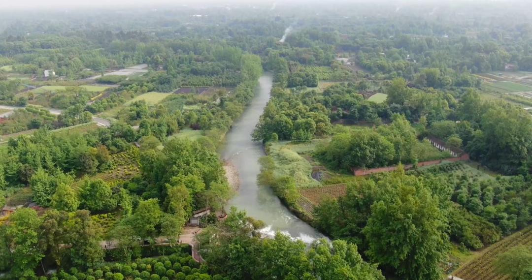 大美郫都丨领略郫都湿地公园的魅力走马清水河