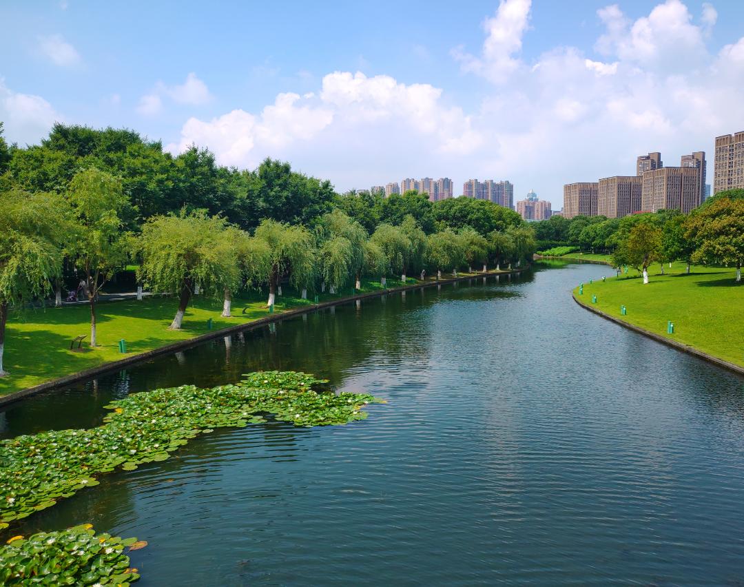 集中攻坚推进水环境整治工作