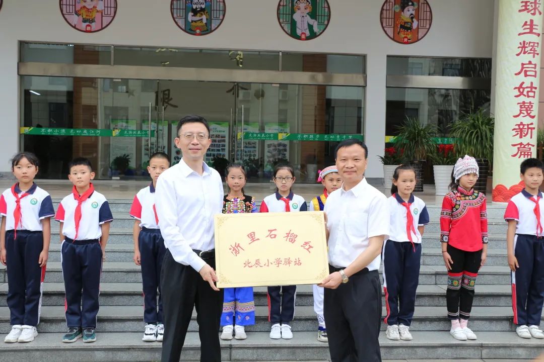 浙里石榴红县委书记授牌民族团结花开龙游北辰小学