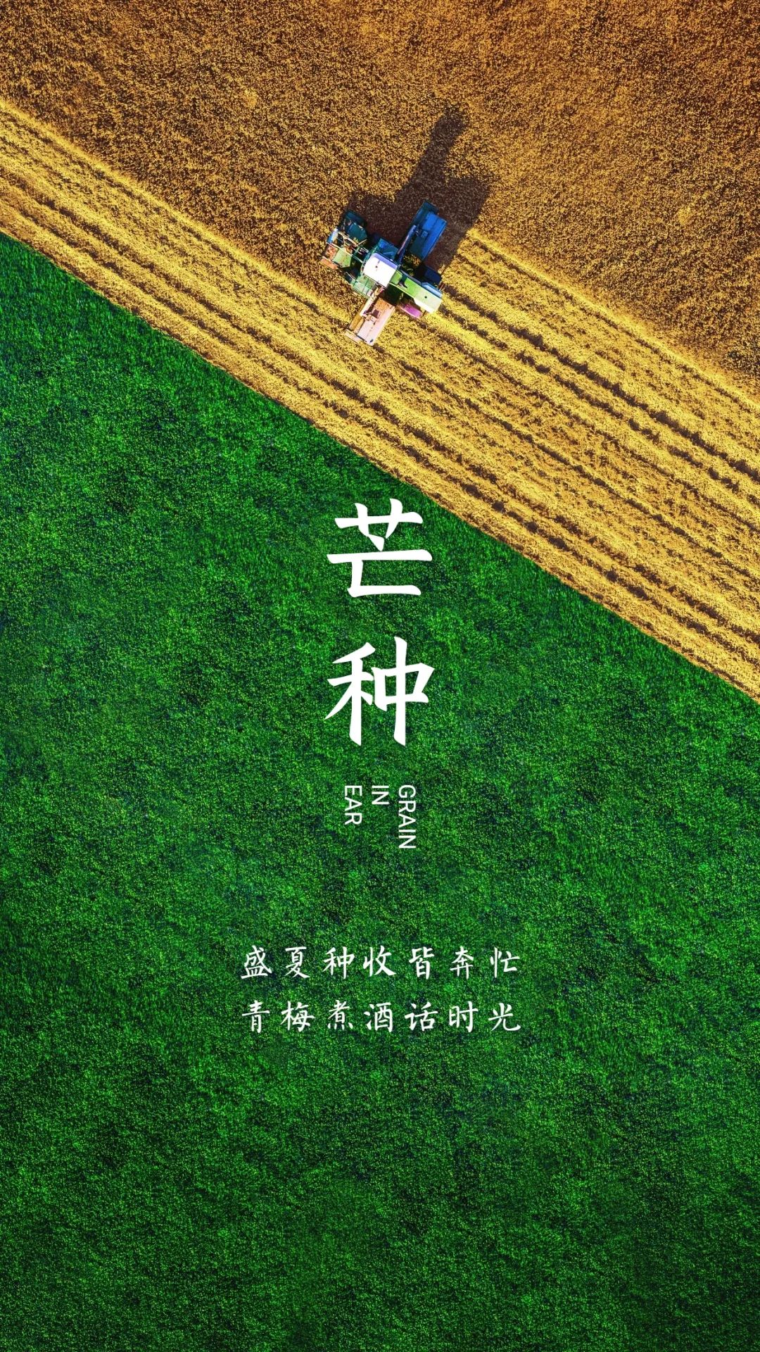 24节气中医养生芒种黄梅时节健脾祛湿