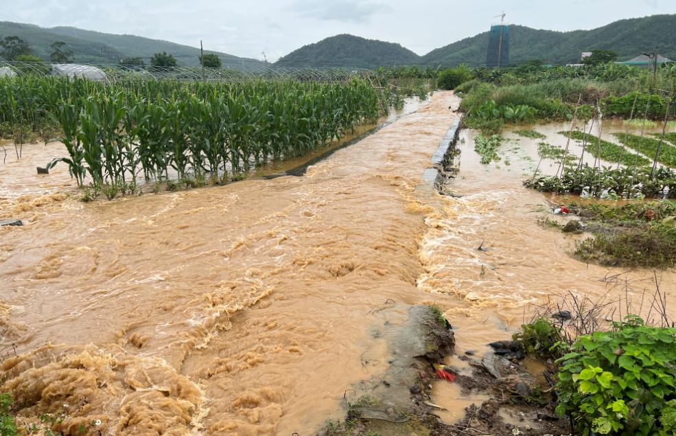 昨日20时到6日7时,受持续强降雨影响,造成曲江区部分江河水库水位迅速