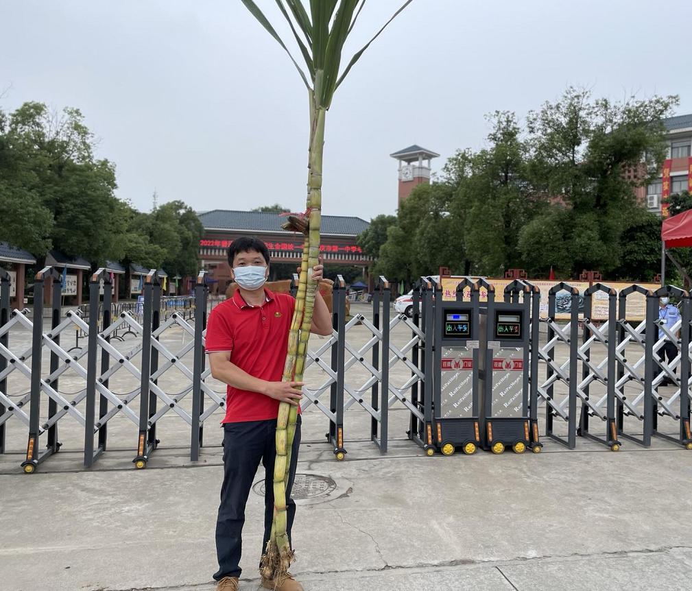 "掂过碌蔗","旗开得胜","幸运锦鲤"紧张,期盼,祝福家长们依依不舍,在