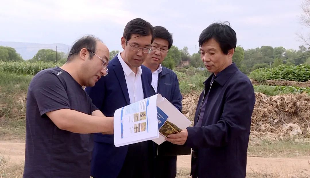 张振亚调研临洮县文化旅游项目