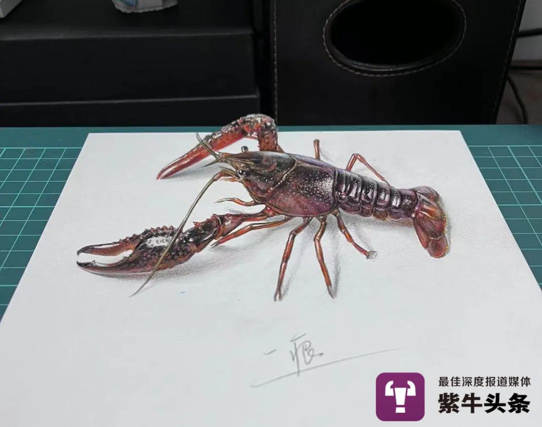 紫牛头条千锤百炼方得妙手江苏画师逼真3d画让网友大呼这是魔法吗