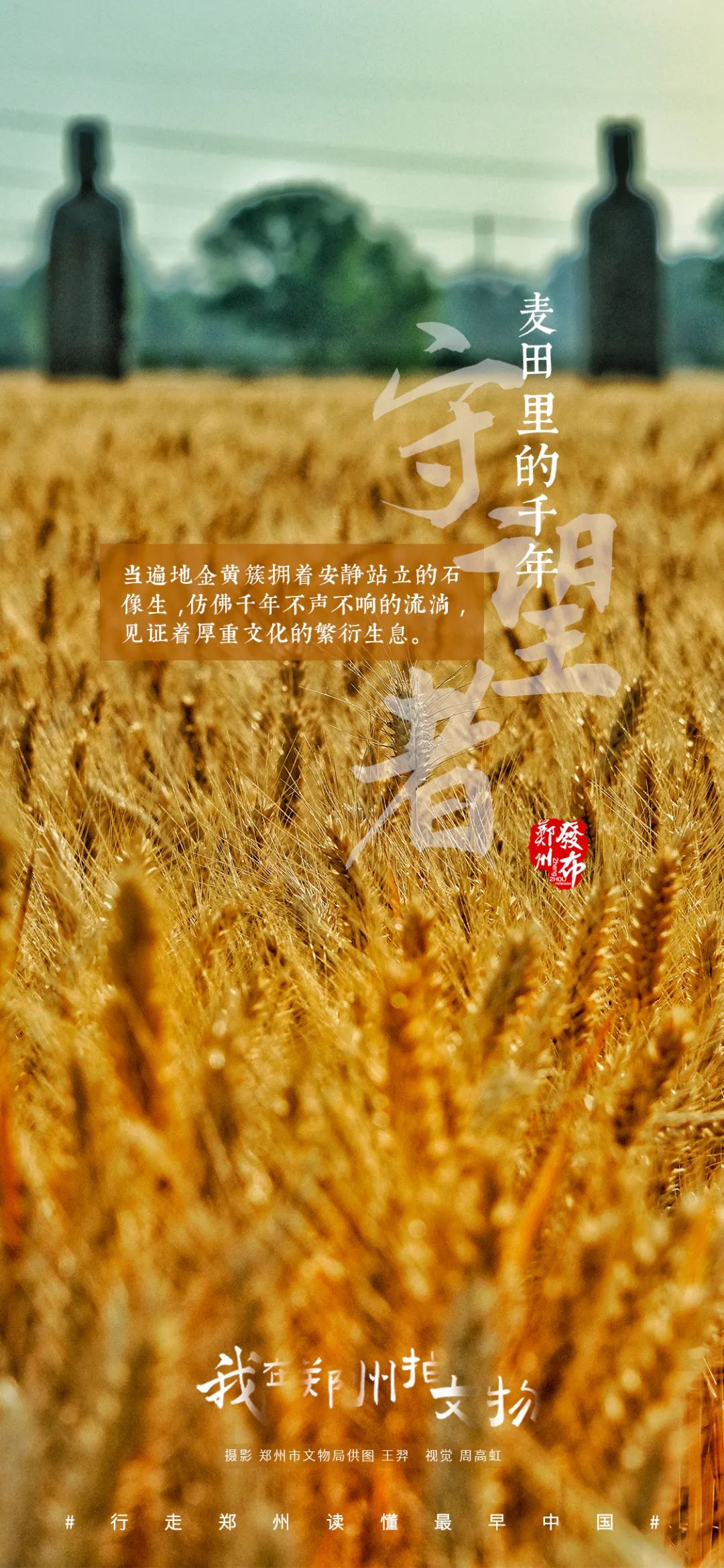 的枯黄千年沉淀人间烟火周而复始生生不息在时间的洗礼下季节交替大片