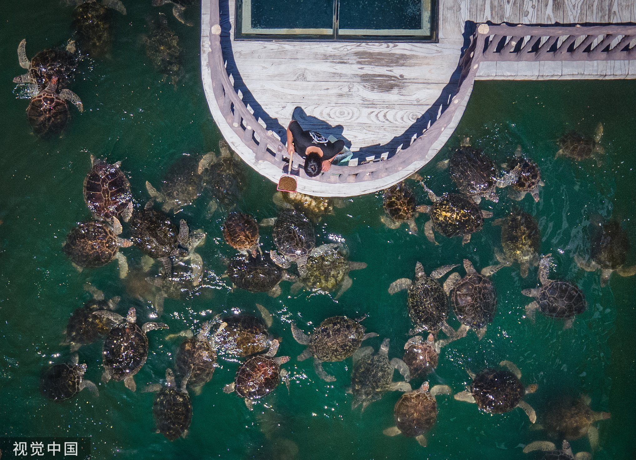 世界海洋日,认识一下这些国家级海洋自然保护区