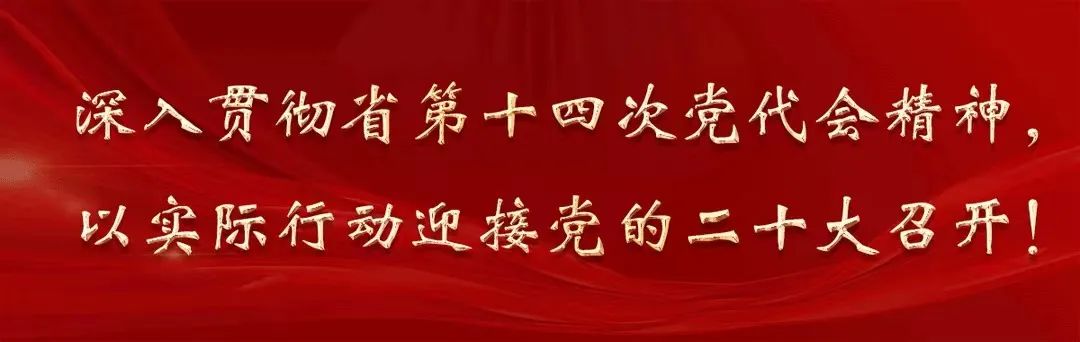 基层动态王铺镇妇联传达学习甘肃省第十四次党代会精神组图