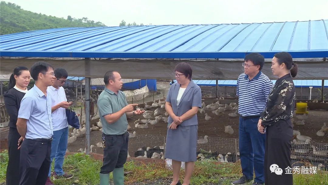莫莲到金秀开展新型农业经营主体情况及人大代表工作情况调研