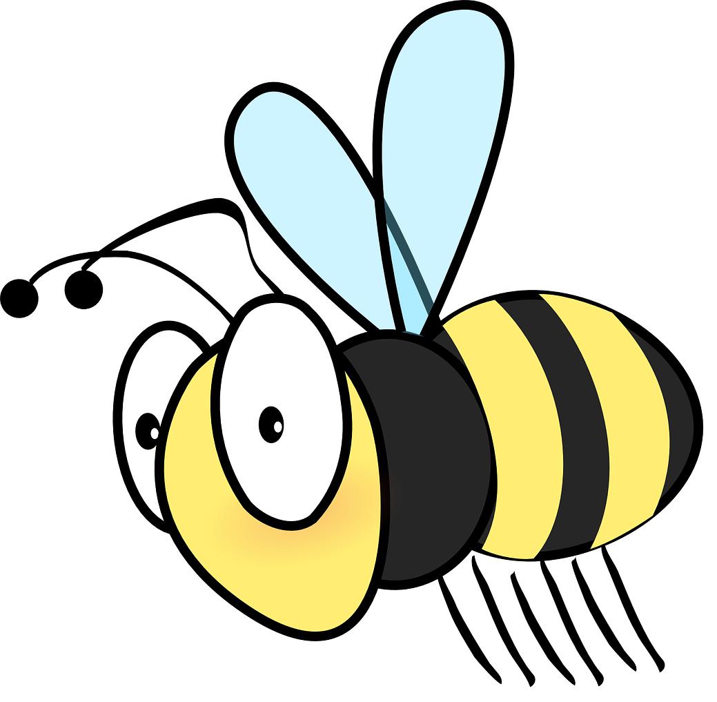 不是洋葱新闻,熊蜂在加州真的成为了鱼类_生活_澎湃新闻-the paper