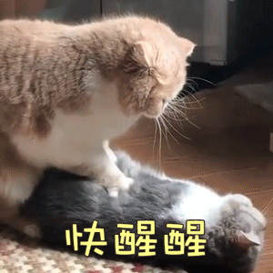 雨水下着下着就成了"上班雨",大家记得出门要穿暖和